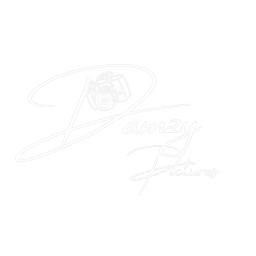 DamzyPictures Logo